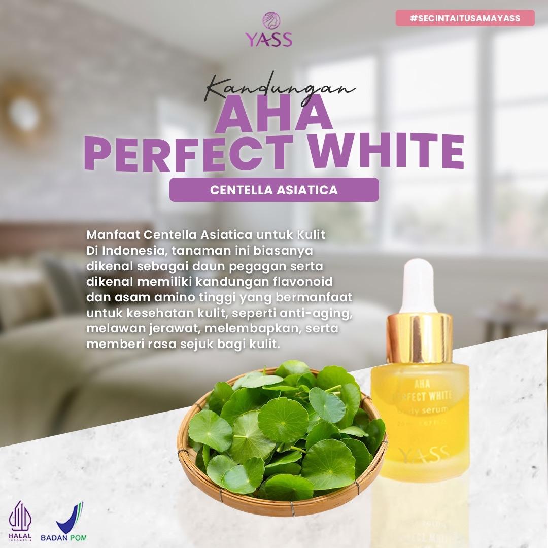 AHA Perpect White 3Pcs